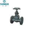 ASME Forged Steel Globe Valve